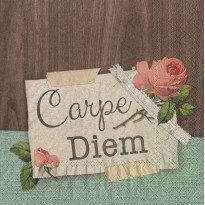 Christmas Napkins Fasana