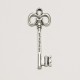 Metallic Key