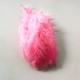 Πούπουλο Φτερό